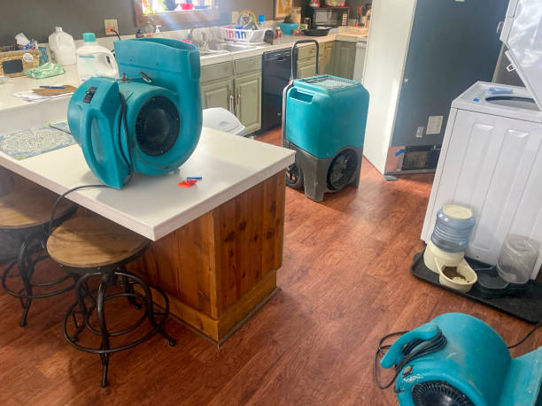 Best Commercial water damage restoration  in Und City, MO