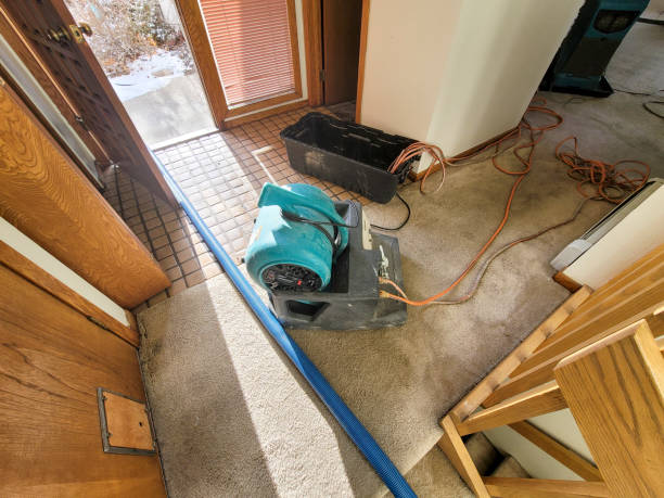 Best Mold removal after water damage  in Und City, MO