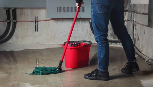 Professional Water damage restoration in Mound City, MO