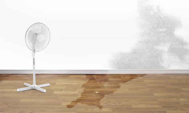 Best Commercial water damage restoration  in Und City, MO