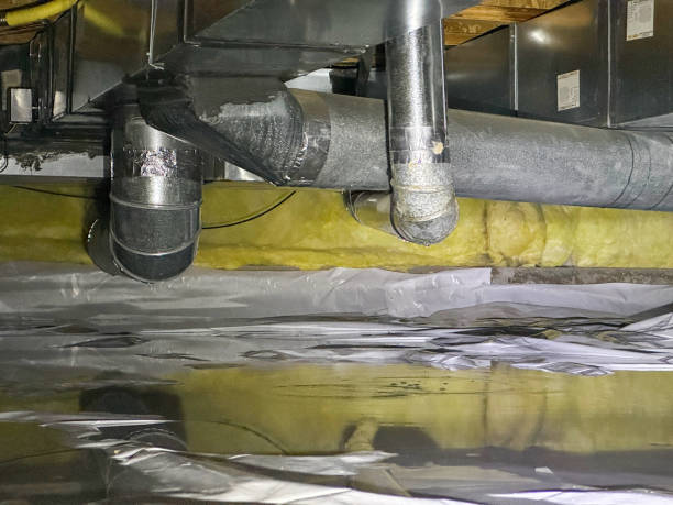 Best Ceiling water damage repair  in Und City, MO
