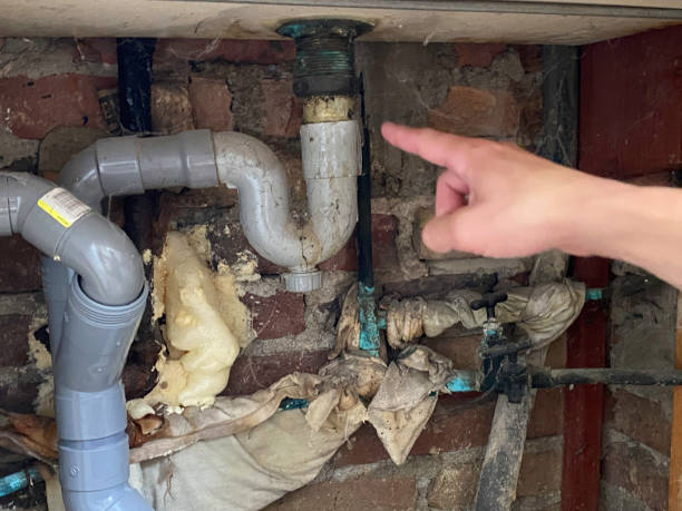 Best Flood damage cleanup  in Und City, MO