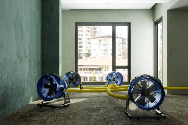 Best Carpet water damage restoration  in Und City, MO